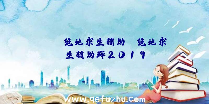 「lee绝地求生辅助」|绝地求生辅助群2019